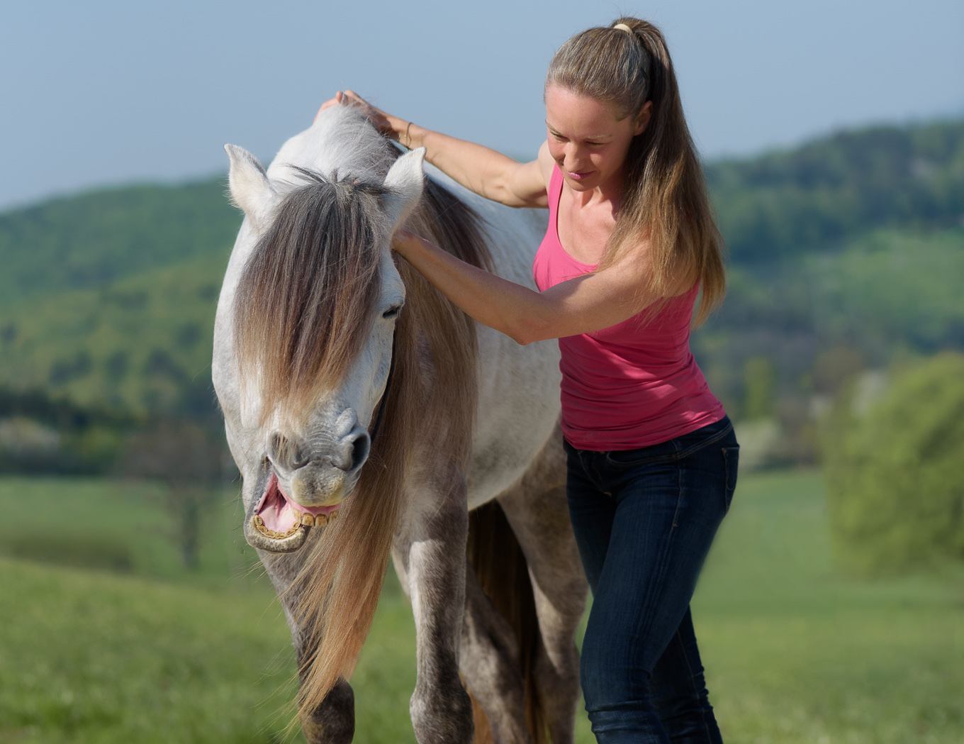 Seelenschimmer, Energiearbeit für Tiere, Sandra Wagner Seelenschimmer, Tierenergetik, Energiearbeit für Tiere, Sandra Wagner