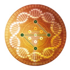 activation-sequence-gold-mandala-version