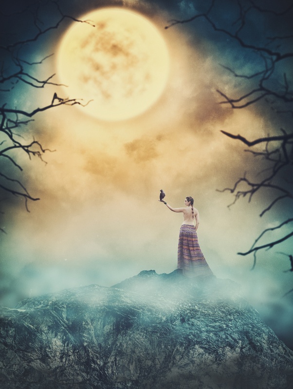 shutterstock_705370138_800px
