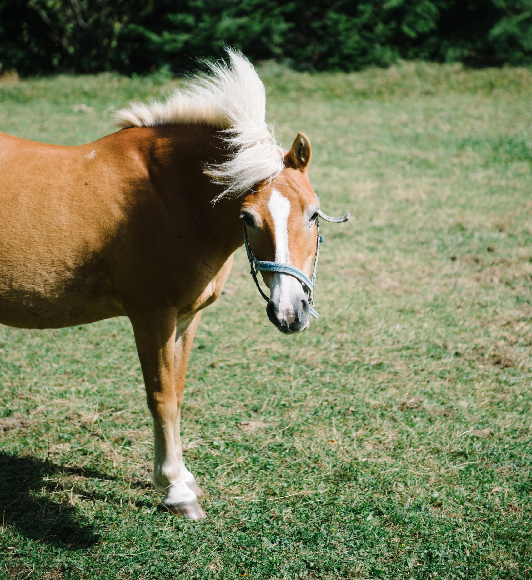 ISS-Live-Laugh-Love-5